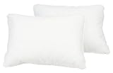 Review Pacific Coast Feather Co 34907 / Pacific Coast Feather Standard Feather Fill Pillows, Set of 2