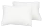 Pacific Coast Feather EuroFeather Standard Pillow, Set of 2