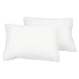 Pacific Coast Feather Queen EuroFeather Pillows, Set of 2