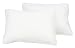 Pacific Coast Feather Queen EuroFeather Pillows, Set of 2