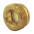 Python No-Spill Clean and Fill Brass Adapter