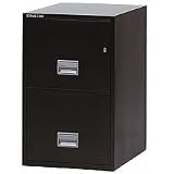 Schwab 2LFD5BK 2 Drawer Vertical File, 5000 Series, Insulated, UL 1-Hour Fire, Letter Size, 31D, B
