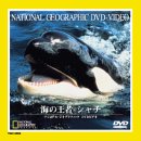 海の王者シャチ [DVD]