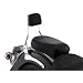 04-09 YAMAHA XVS11A: COBRA SHORT SISSY BAR - CHROME (CHROME)
