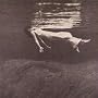 Undercurrent