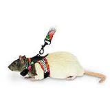 Comfort Harness Stretchy Leash - Small