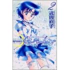 Pretty Guardian Sailormoon Vol. 2 (Bishojyosenshi Sailormoon) (in Japanese)
