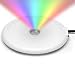 Kitchen & Housewares : Goodsphere Spectrum Plate for BUBBLE SYSTEM