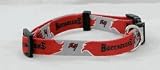 Tampa Bay Buccaneers Medium Pet Dog Collar (Medium)