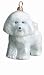 Bichon Frise