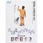 �V���܂ł̕S�}�C�� [DVD]