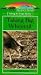 Taking Big Whitetail:Scrape Mystery [VHS]