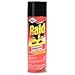 Raid Insecticide, Insect Killer 19 oz can