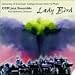 Lady And Bird-Lady Bird