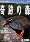 大自然ライブラリー 奇跡の森~亜熱帯沖縄・やんばるの自然~湊和雄