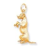 10k DOG CHARM