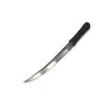 Columbia River Knife and Tool 2910 Hisshou Knife