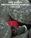 Hand to Earth: Andy Goldsworthy Sculpture 1976-1990