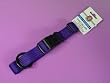 Hamilton "Fits All" 1" Adjustable Nylon Dog Collar, Purple, Large (18-26 in)