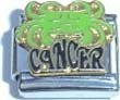 Clearly Charming Cancer Zodiac Italian Charm