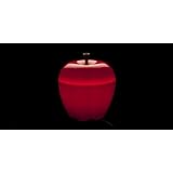 Qualy Large Red Happle Apple Lamp
