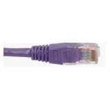 CAB-5E-UTP-VIOLET-10M - Prolabs patch cable - 10 m