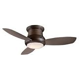 Ceiling Fan Lights