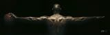 Michael Jordan Wings - 20th Anniversary Tattoo Door Poster (Size: 72" x 23")