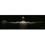 Michael Jordan Wings - 20th Anniversary Tattoo Door Poster (Size: 72" x 23")