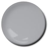 RC5901 R C Airplane Acryl Alum 1 oz by Pactra Paint