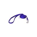 PETCO 3/8" Single Ply Nylon Dog Lead in Blue Small Color:Blue