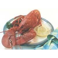 Classic Live Lobster Combo for Two People