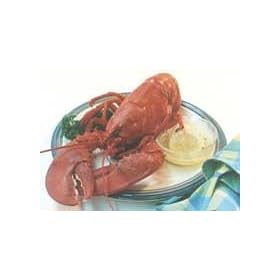Classic Live Lobster Combo for Two People