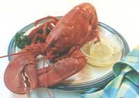 Buy Classic Live Lobster Combo for Two People online at Discounted New and Used prices. Delivered to your door with Off-The-Bookshelf.