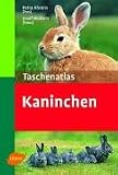 Taschenatlas Kaninchen