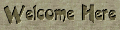 welcome_here
