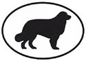 Bernese Mountain Dog Sticker (Black/White, 5' x 3.5' )