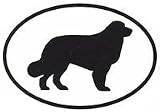 Bernese Mountain Dog Sticker (Black/White, 5' x 3.5' )