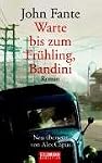 Buchtipp Warte bis zum Frühling, Bandini: Roman