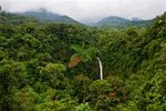 Costa Rican Peaberry Coffee, Ground - 12 oz by World Trader Coffee