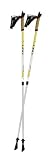 LEKI Nordic Walking NW Trainer AS Poles
