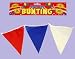 Bunting 30cm Penants 25 On A 7m Stretch - Red/White/Blue (F02665)