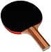 Table Tennis Paddles - High Quality 7-ply - Racket Sports