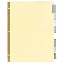 Wilson Jones Gold Line Insertable Tab Dividers, Single Reinforced, White Paper, For Legal Size Sheets, 8 Tabs, Clear (W54153)