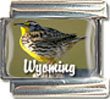Clearly Charming Wyoming State Bird Western Meadowlark Italian Charm Bracelet Link