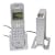 USRobotics Cordless Skype Dual Phone USR019630 Cordless phone / USB VoIP phone - DECTGAP - Skype