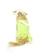 Tinkerbell Puppy Halloween Medium Pet Doggie Costume