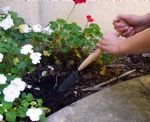 read full review P-Grip Dutch Trowel