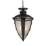 Honora Collection 20 High Hanging Outdoor Light Fixture
