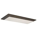 Buy Aeon Ceiling Flush Mount Size Finish: 16 Oil Rubbed Bronze by American Fluorescent